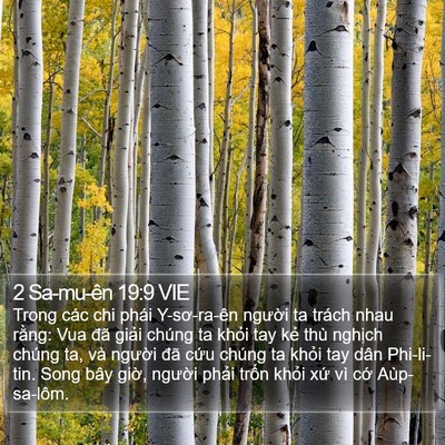 2 Sa-mu-ên 19:9 VIE Bible Verse Image