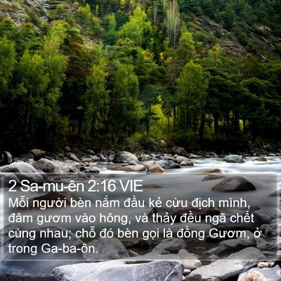 2 Sa-mu-ên 2:16 VIE Bible Verse Image