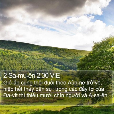 2 Sa-mu-ên 2:30 VIE Bible Verse Image
