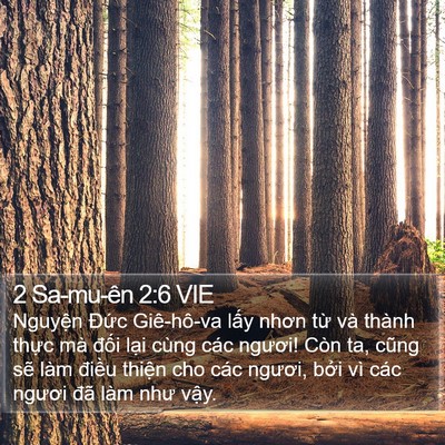 2 Sa-mu-ên 2:6 VIE Bible Verse Image