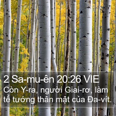 2 Sa-mu-ên 20:26 VIE Bible Verse Image