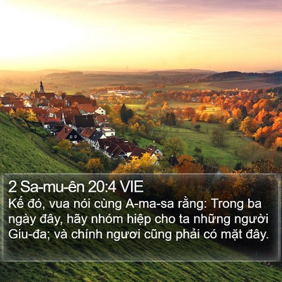 2 Sa-mu-ên 20:4 VIE Bible Verse Image
