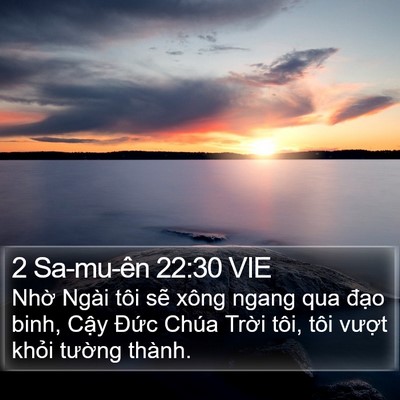 2 Sa-mu-ên 22:30 VIE Bible Verse Image