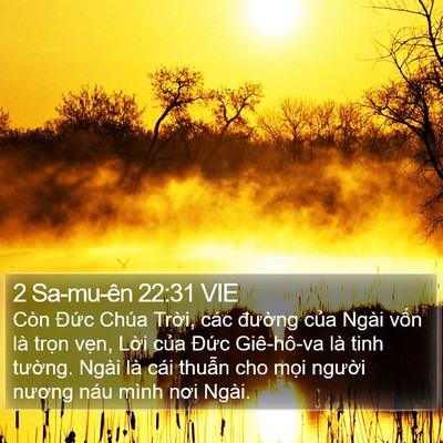 2 Sa-mu-ên 22:31 VIE Bible Verse Image