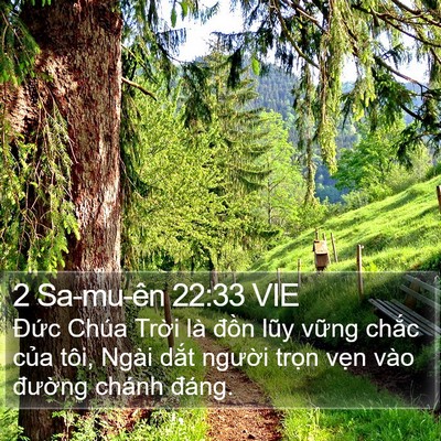 2 Sa-mu-ên 22:33 VIE Bible Verse Image