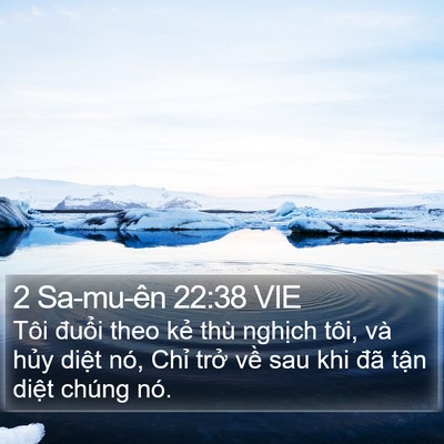 2 Sa-mu-ên 22:38 VIE Bible Verse Image