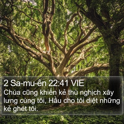 2 Sa-mu-ên 22:41 VIE Bible Verse Image