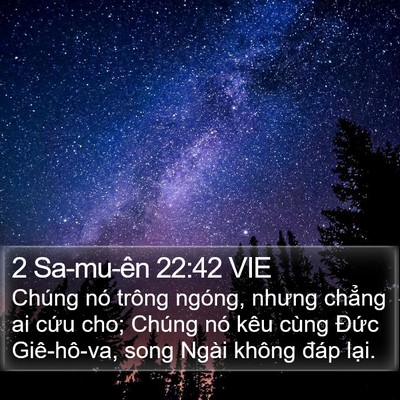 2 Sa-mu-ên 22:42 VIE Bible Verse Image