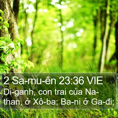 2 Sa-mu-ên 23:36 VIE Bible Verse Image