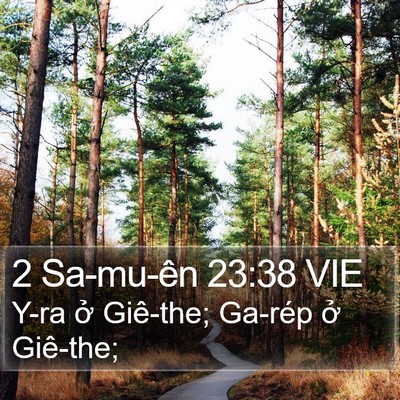 2 Sa-mu-ên 23:38 VIE Bible Verse Image