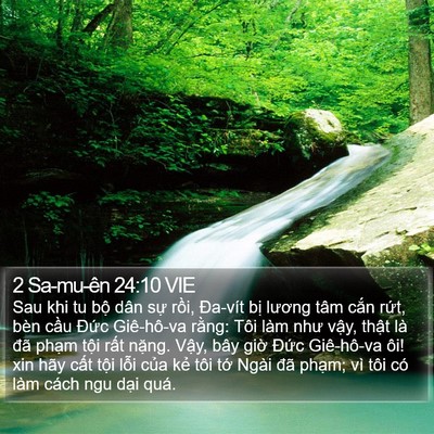 2 Sa-mu-ên 24:10 VIE Bible Verse Image