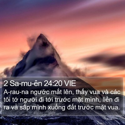 2 Sa-mu-ên 24:20 VIE Bible Verse Image