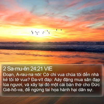 2 Sa-mu-ên 24:21 VIE Bible Verse Image