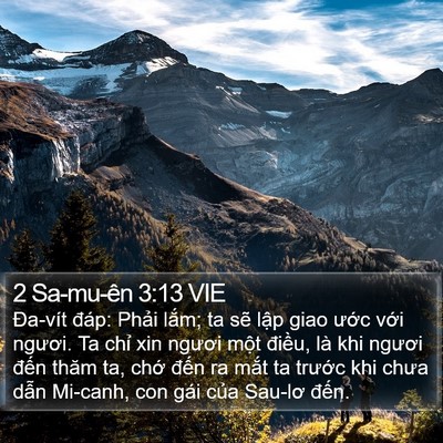 2 Sa-mu-ên 3:13 VIE Bible Verse Image