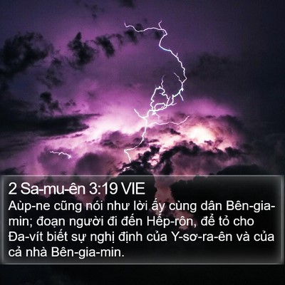 2 Sa-mu-ên 3:19 VIE Bible Verse Image