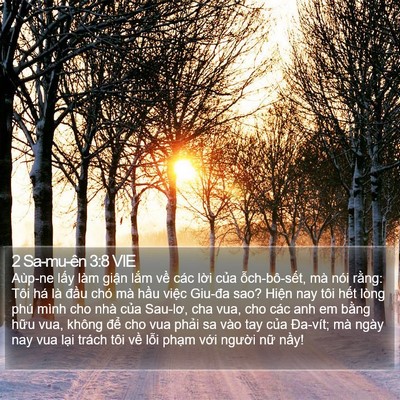 2 Sa-mu-ên 3:8 VIE Bible Verse Image