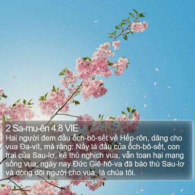2 Sa-mu-ên 4:8 VIE Bible Verse Image