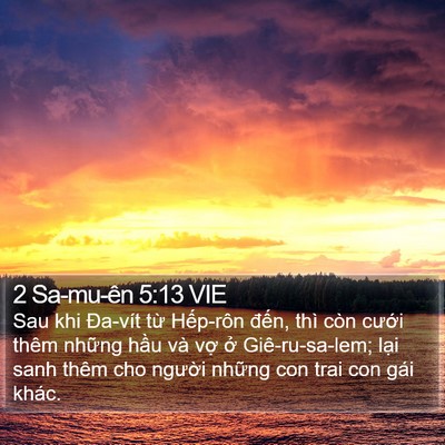 2 Sa-mu-ên 5:13 VIE Bible Verse Image