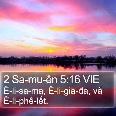 2 Sa-mu-ên 5:16 VIE Bible Verse Image
