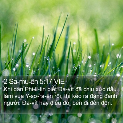2 Sa-mu-ên 5:17 VIE Bible Verse Image