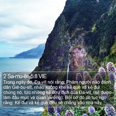 2 Sa-mu-ên 5:8 VIE Bible Verse Image
