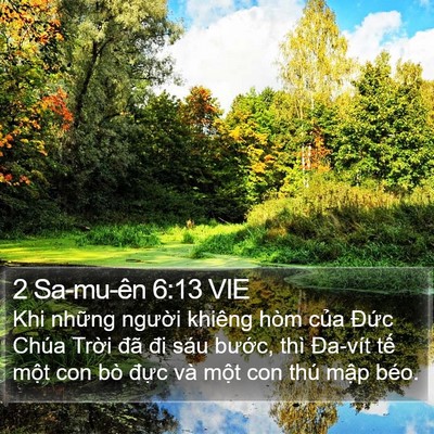 2 Sa-mu-ên 6:13 VIE Bible Verse Image
