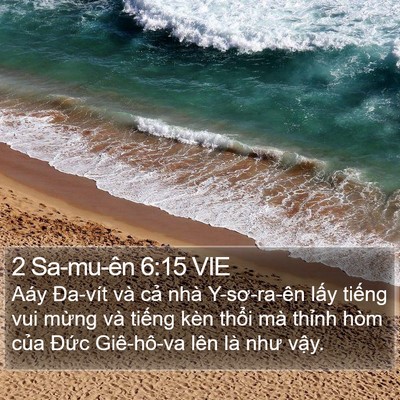 2 Sa-mu-ên 6:15 VIE Bible Verse Image