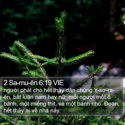 2 Sa-mu-ên 6:19 VIE Bible Verse Image
