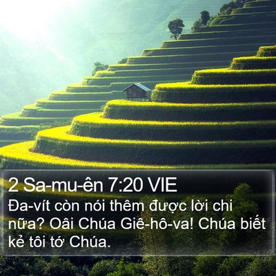 2 Sa-mu-ên 7:20 VIE Bible Verse Image