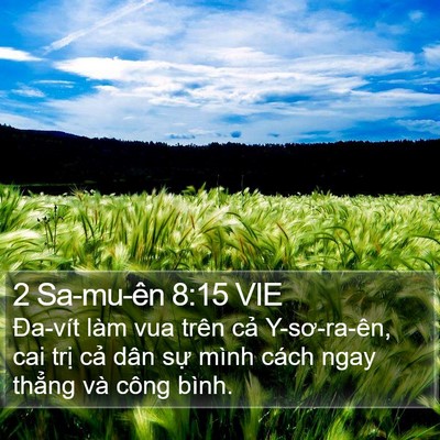 2 Sa-mu-ên 8:15 VIE Bible Verse Image