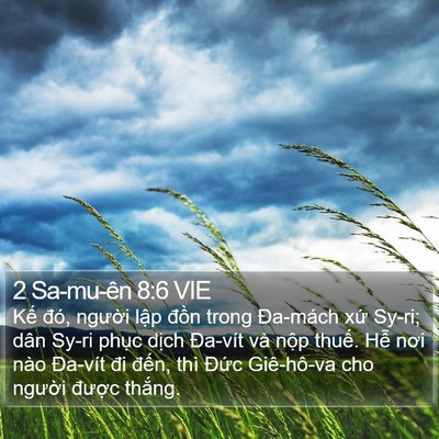 2 Sa-mu-ên 8:6 VIE Bible Verse Image