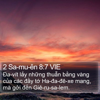 2 Sa-mu-ên 8:7 VIE Bible Verse Image