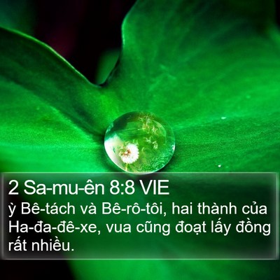 2 Sa-mu-ên 8:8 VIE Bible Verse Image