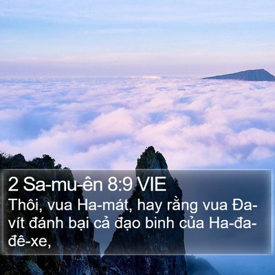 2 Sa-mu-ên 8:9 VIE Bible Verse Image
