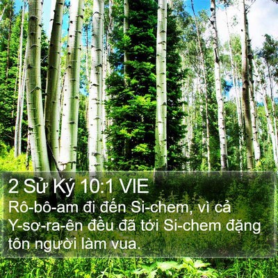 2 Sử Ký 10:1 VIE Bible Verse Image