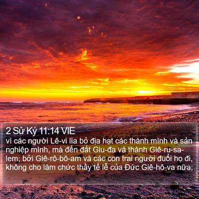 2 Sử Ký 11:14 VIE Bible Verse Image