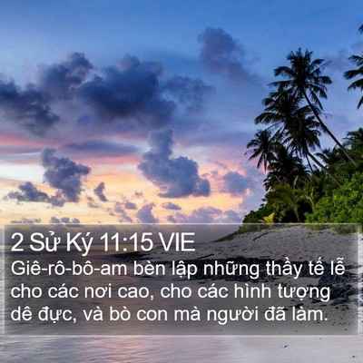 2 Sử Ký 11:15 VIE Bible Verse Image