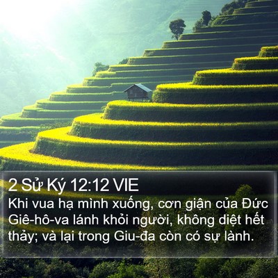 2 Sử Ký 12:12 VIE Bible Verse Image