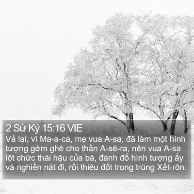 2 Sử Ký 15:16 VIE Bible Verse Image