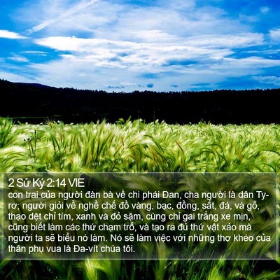 2 Sử Ký 2:14 VIE Bible Verse Image
