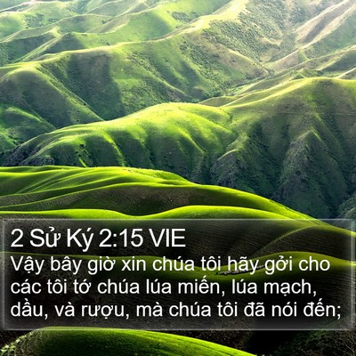 2 Sử Ký 2:15 VIE Bible Verse Image