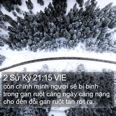 2 Sử Ký 21:15 VIE Bible Verse Image