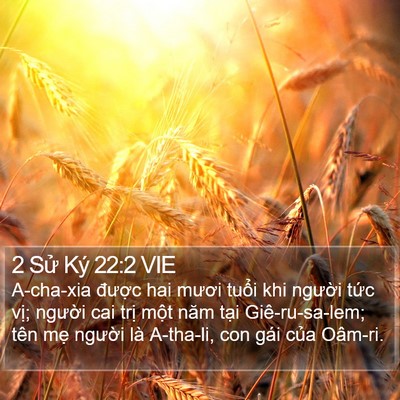 2 Sử Ký 22:2 VIE Bible Verse Image