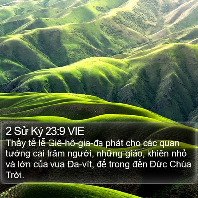 2 Sử Ký 23:9 VIE Bible Verse Image