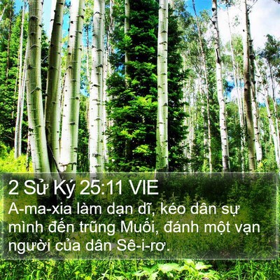 2 Sử Ký 25:11 VIE Bible Verse Image