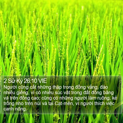 2 Sử Ký 26:10 VIE Bible Verse Image