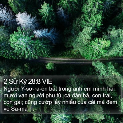 2 Sử Ký 28:8 VIE Bible Verse Image