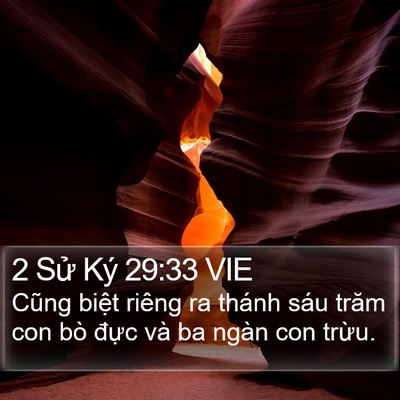 2 Sử Ký 29:33 VIE Bible Verse Image