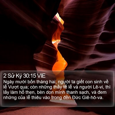 2 Sử Ký 30:15 VIE Bible Verse Image