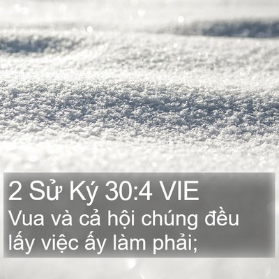 2 Sử Ký 30:4 VIE Bible Verse Image